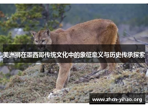 美洲狮在墨西哥传统文化中的象征意义与历史传承探索 美洲狮在墨西哥传统文化中的象征意义与历史传承探索