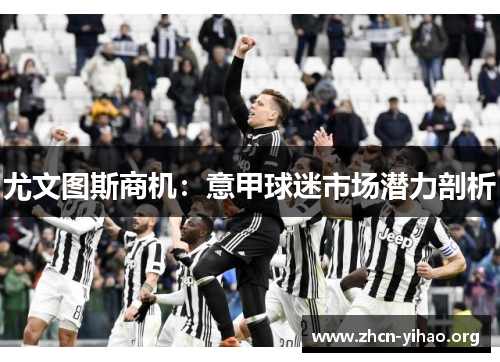 尤文图斯商机:意甲球迷市场潜力剖析 尤文图斯商机:意甲球迷市场潜力剖析