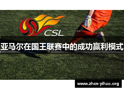 亚马尔在国王联赛中的成功赢利模式 亚马尔在国王联赛中的成功赢利模式