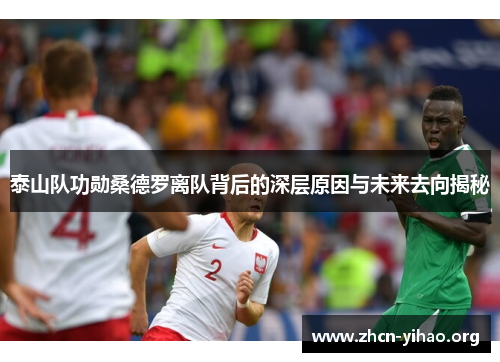 泰山队功勋桑德罗离队背后的深层原因与未来去向揭秘 泰山队功勋桑德罗离队背后的深层原因与未来去向揭秘