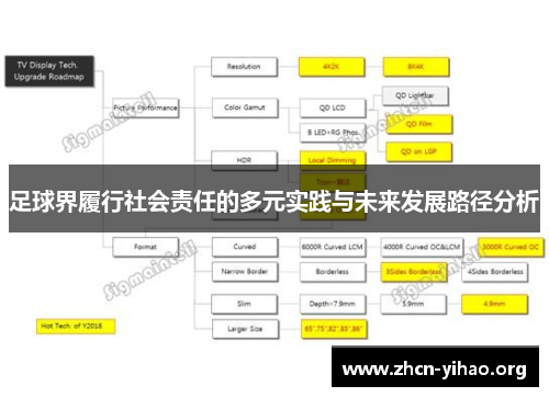 足球界履行社会责任的多元实践与未来发展路径分析 足球界履行社会责任的多元实践与未来发展路径分析
